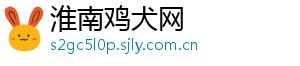 淮南鸡犬网